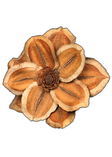 Organic Woody Petals Flower, Shop Organikos (1pc)